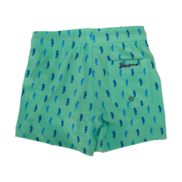 Swim shorts boy - 'Horsing around'
