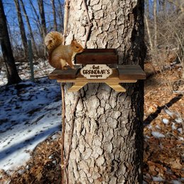 Funny Squirrel and Chipmunk Feeder For Outside, Picnic Table Feeder for Squirrels, Tray for Fruit and Nuts, Wildlife animal wooden bench