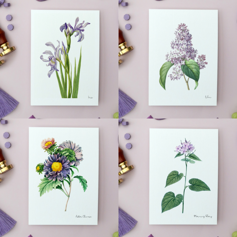 Lilac Pack - Handmade Postcards A6 with Envelope - Botanical Vintage