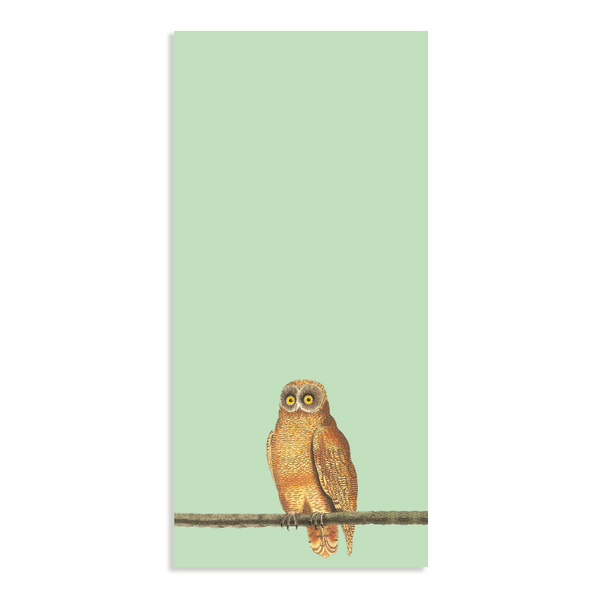 Notizblock Din Lang Mellow Owl