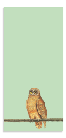 Notizblock Din Lang Mellow Owl