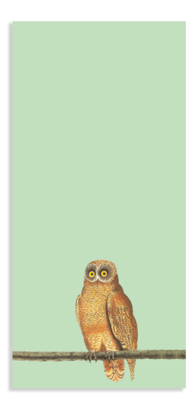 Notizblock Din Lang Mellow Owl