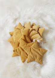 “Honey Dust” Velvet Garland with Stars