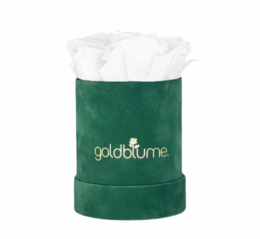 Velvet Green Collection
