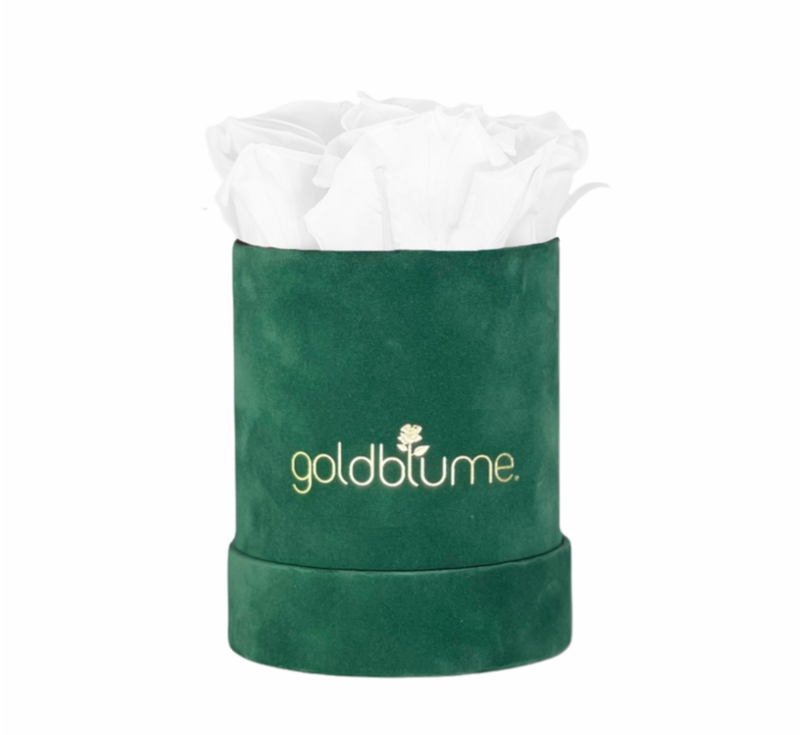 Velvet Green Collection