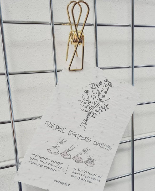 100 Moments of Happiness - Seize the Day %23field flowers (seeds in seed paper)
