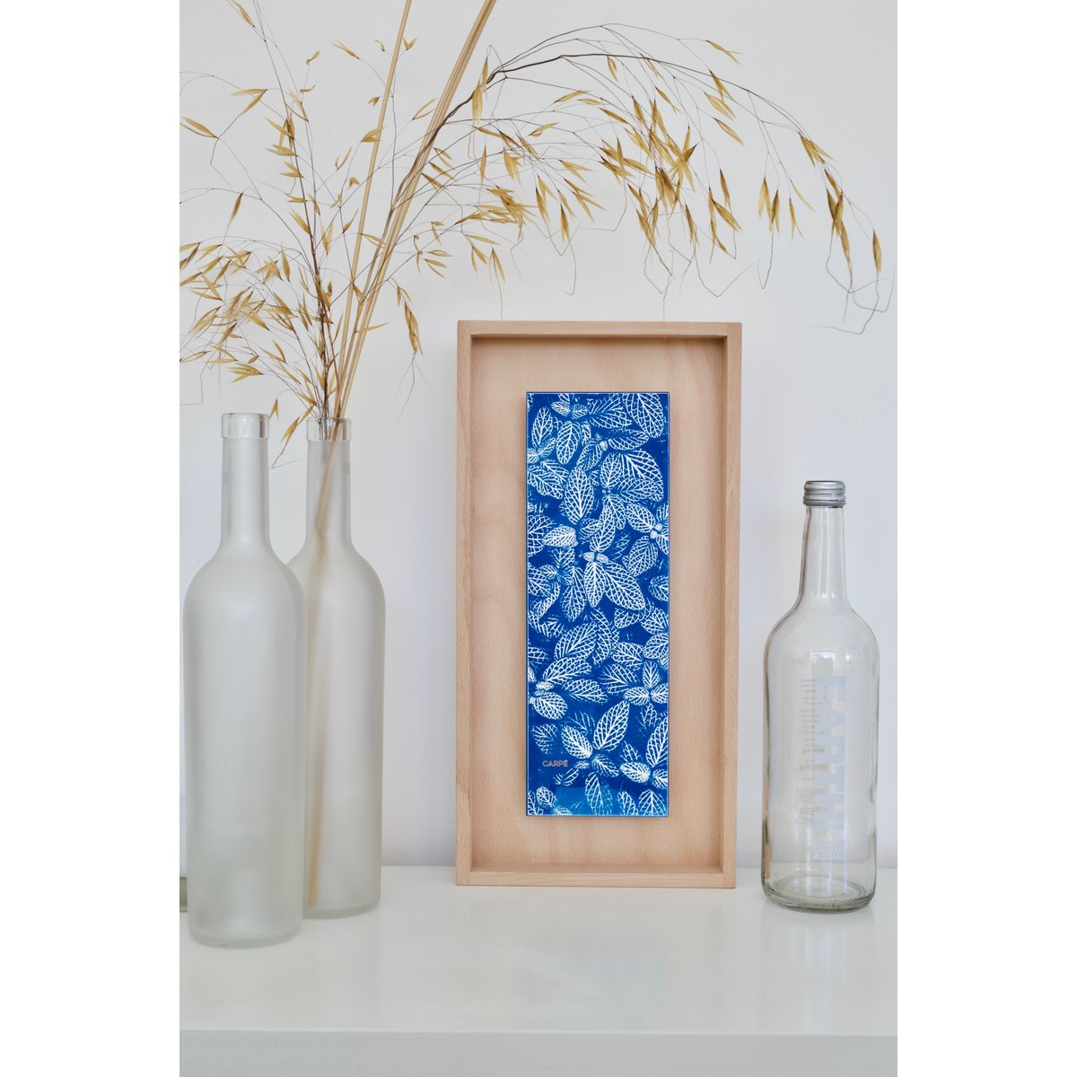 Cyanotype Fittonia