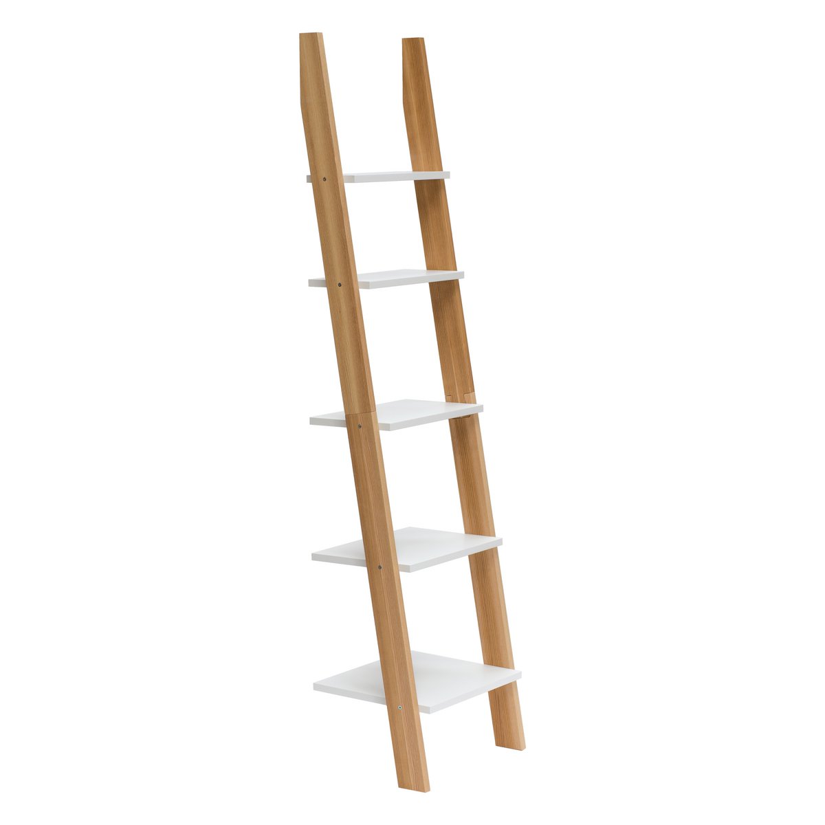 ASHME Laddershelf