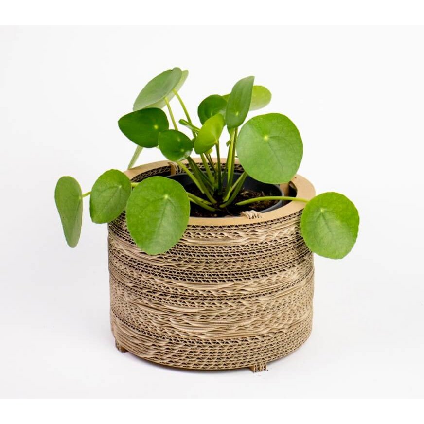 Cache-pot et cache-pot en carton - Roos