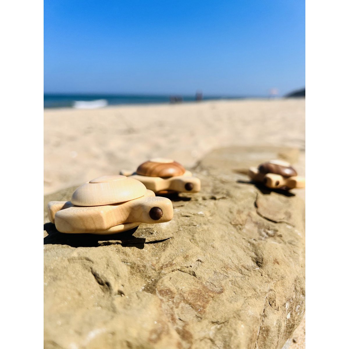 Jouet Tortue de Mer - Tortuga en Bois