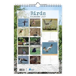 0010 Birds 2027