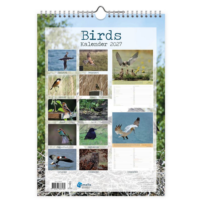 0010 Birds 2027