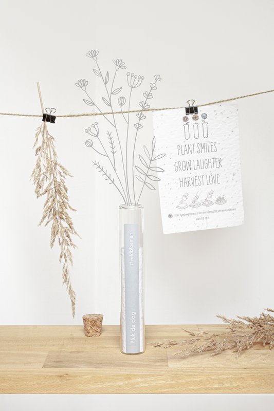 100 Moments of Happiness - Seize the Day %23field flowers (seeds in seed paper)