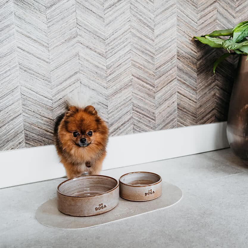 Plato de comida Mantel individual DOGA Stone blanco