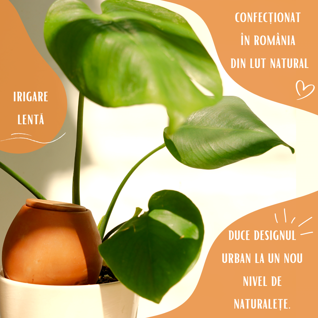 Olla self watering pot - Lutoya Small Original - 20 cl