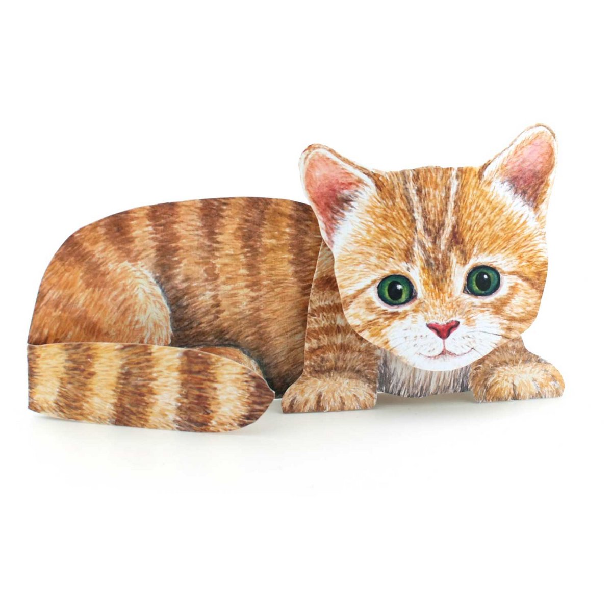 3D animal card Little cat