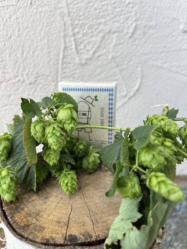 Crema per le mani bavarese - Svernturn Hops - 30 grammi