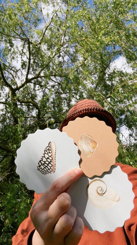 Coaster/Coaster 10 motifs shells - 12 sets