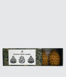 Velas del bosque de cera de abejas