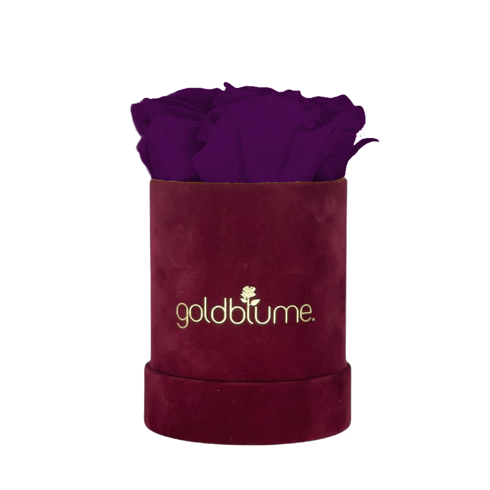 Collection Velours Bordeaux
