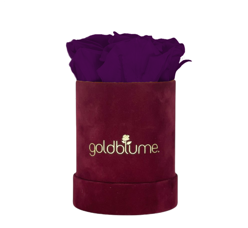 Velvet Bordeaux Collection