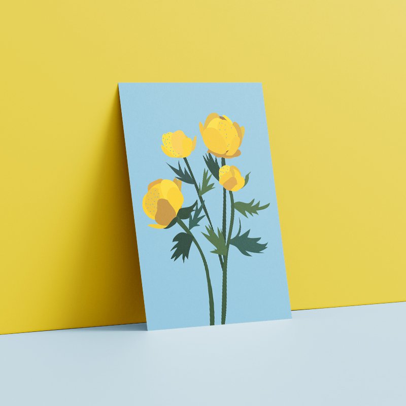 Postcard - Globeflower