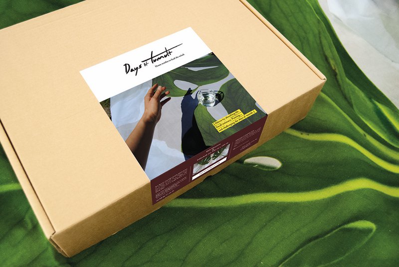 Deli Monstera - deluxe cotton tablecloth