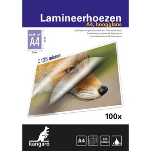 Kangar laminirhoys o4 dos a 100 ist gut