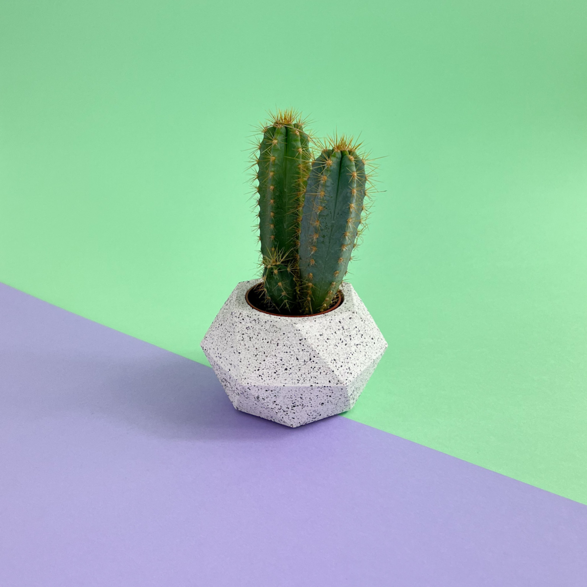 Small Plant Pot • HEXAGONAL XS • White Terrazzo