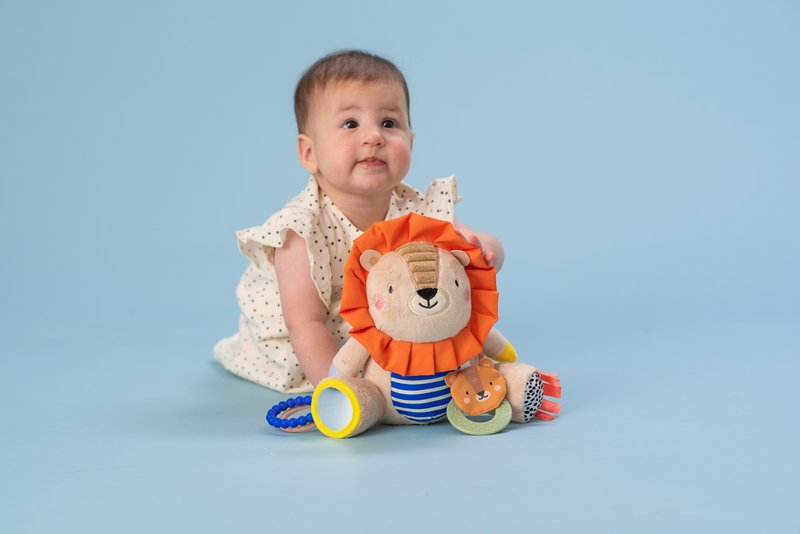 HARRY LION ACTIVITY PUPPE