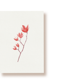 Delicate red magnolia flowers on a postcard with a minimalist design.