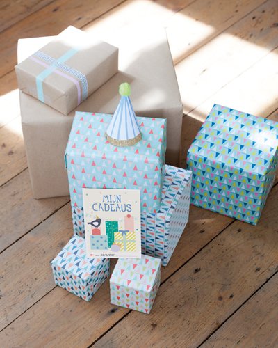 Milestone® specielle øjeblikke fotohæfte - Babys første fødselsdag