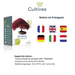 CULTIVEA® Ready to Grow Kit 6 Bonsai - Have og dekoration - Julegave-idé (Rød Mapple, Chinese Cercis, Juniperus, Liquidambar, nordmannsgran)