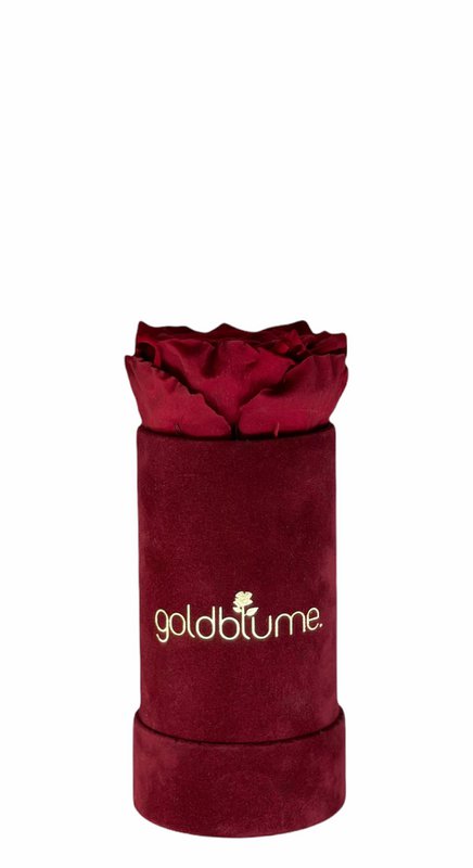 Velvet Bordeaux Collection