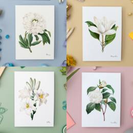 All Colors Pack - Cartoline fatte a mano A6 con busta - Botanical Vintage