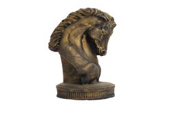 Torse Cheval à pied