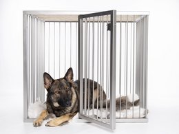 Hundeboks Line Edition MONA Super Extra Large