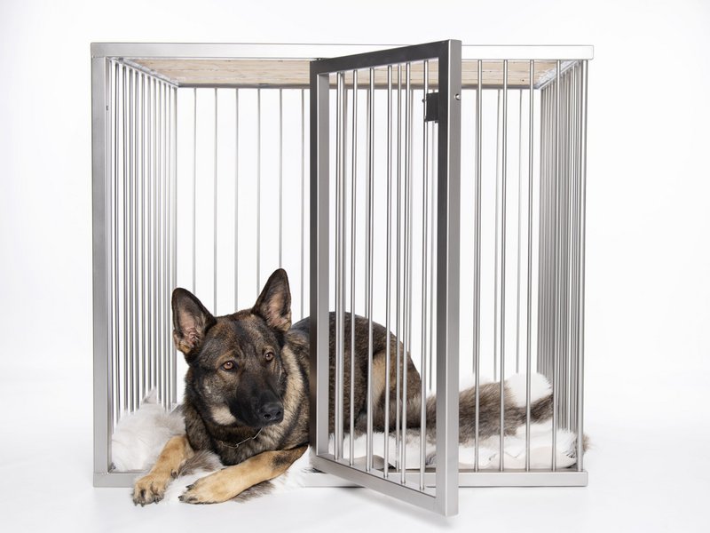 Boîte pour chien Line Edition MONA Super Extra Large