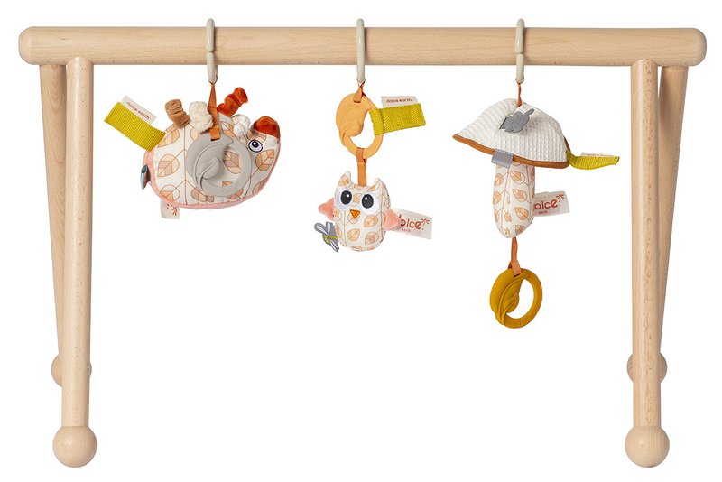 Van Dijk Toys & Dolce Houten Baby Gym Earth (Childcare Quality)