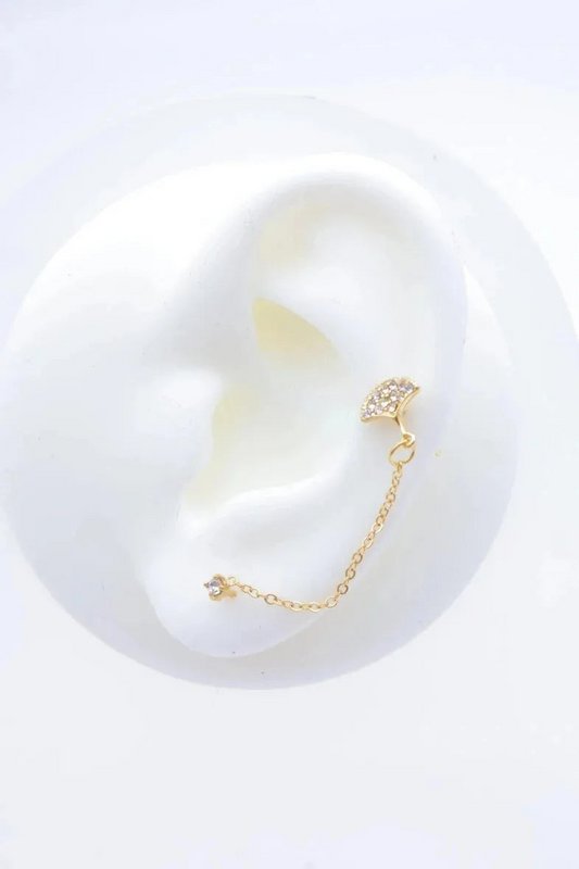 Stainless steel earrings
