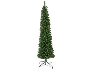 Kerstboom Pencil pine H210cm