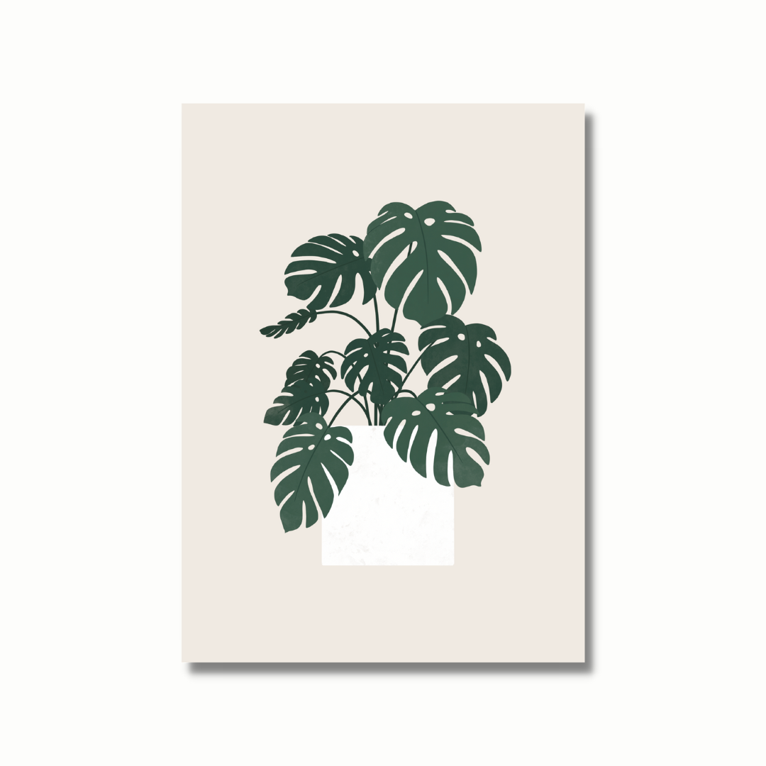 Ansichtkaart - Monstera