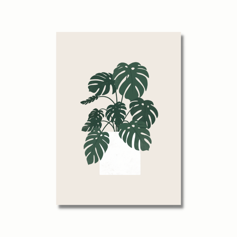Ansichtkaart - Monstera