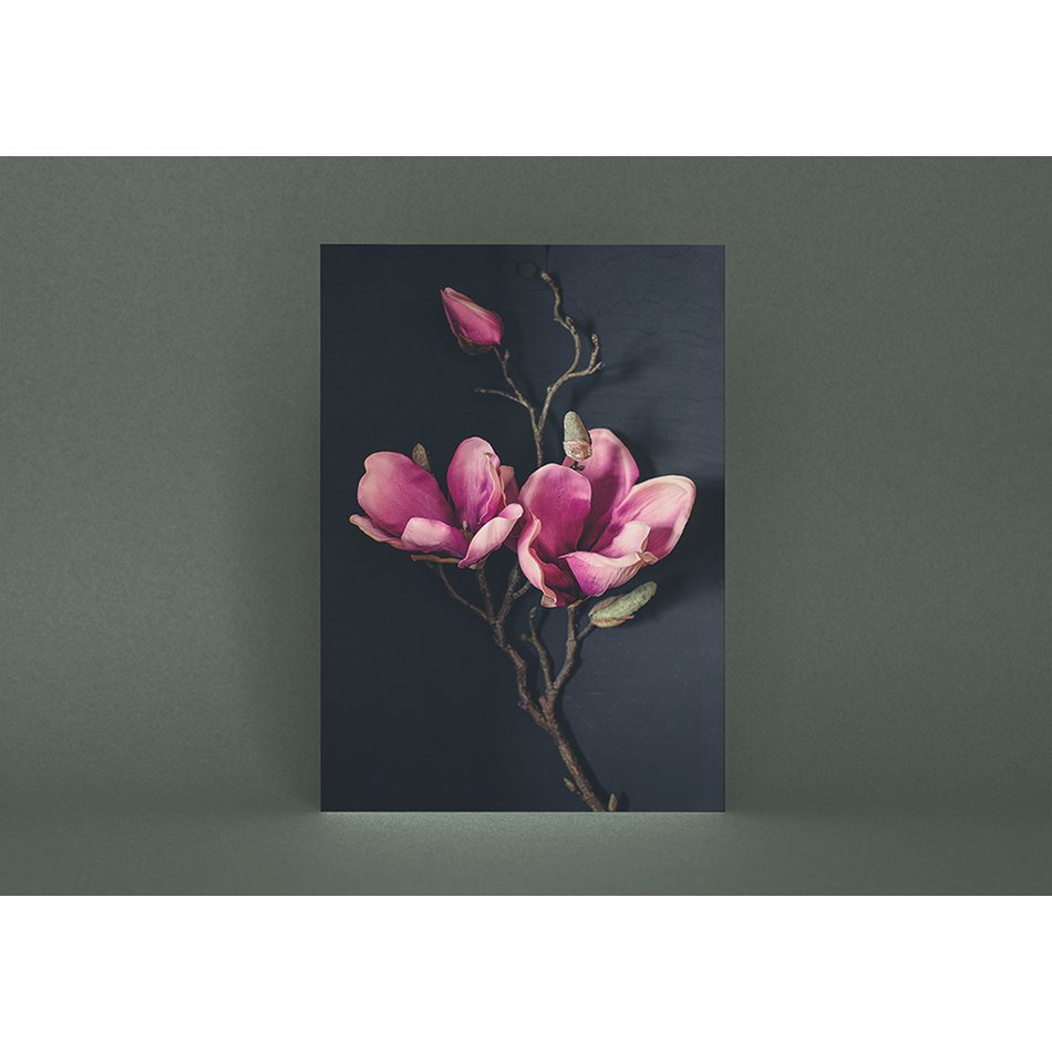Ansichtkaart Wenskaart Donker Magnolia (PK_062)