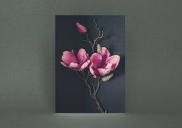Cartolina d'auguri Magnolia scura (PK_062)