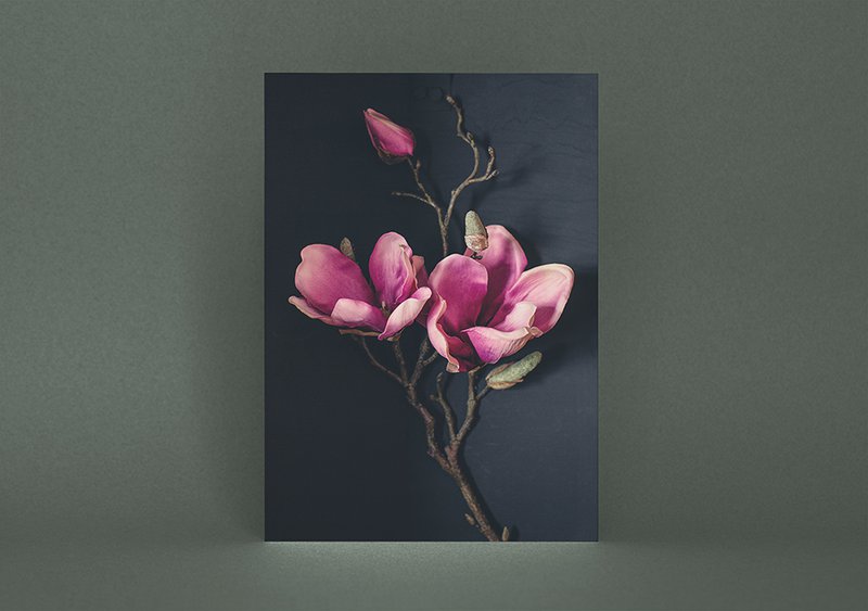 Pocztówka Kartka Z Pozdrowieniami Ciemna Magnolia (PK_062)