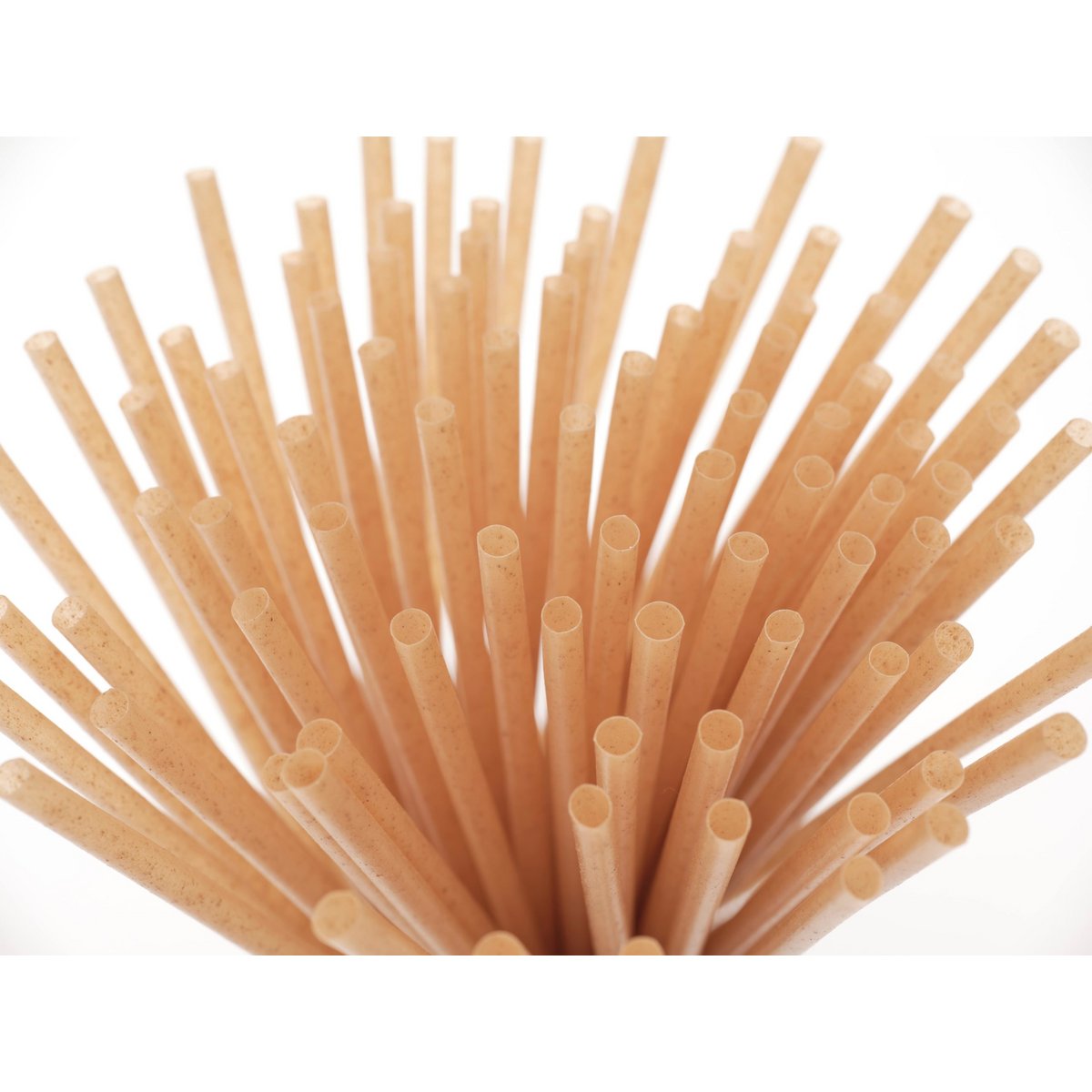 Pailles de canne à sucre 250 pièces 21 cm