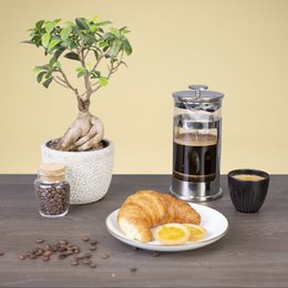 The Lucky Cup + To Go