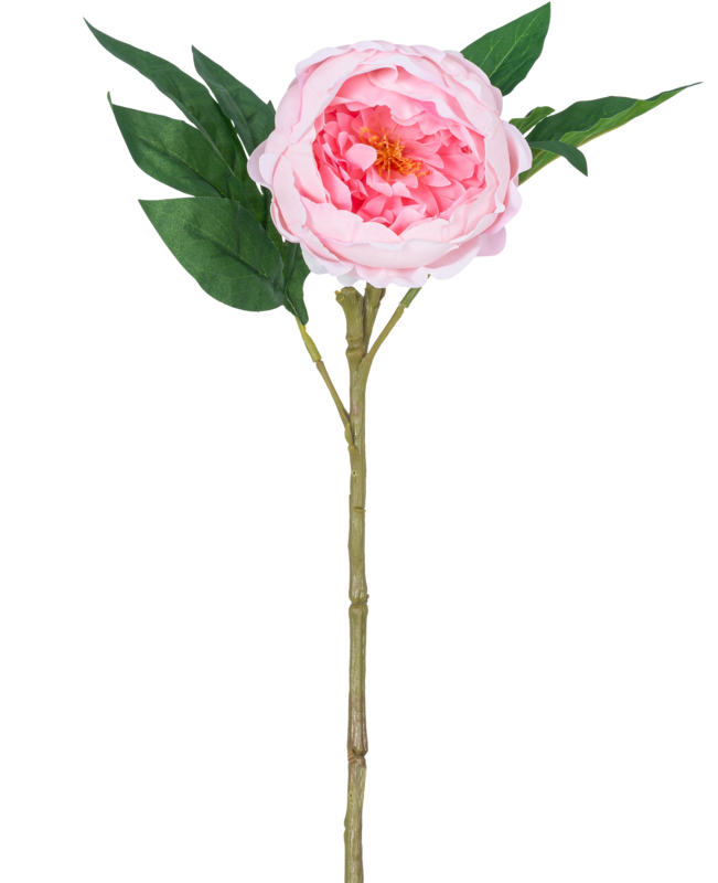Pivoine artificielle Real Touch Rose 58cm