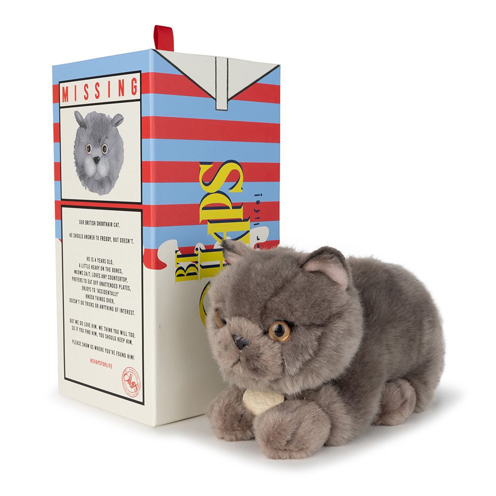 BTC - Freddy el Británico de Pelo Corto en caja de regalo - 20 cm -